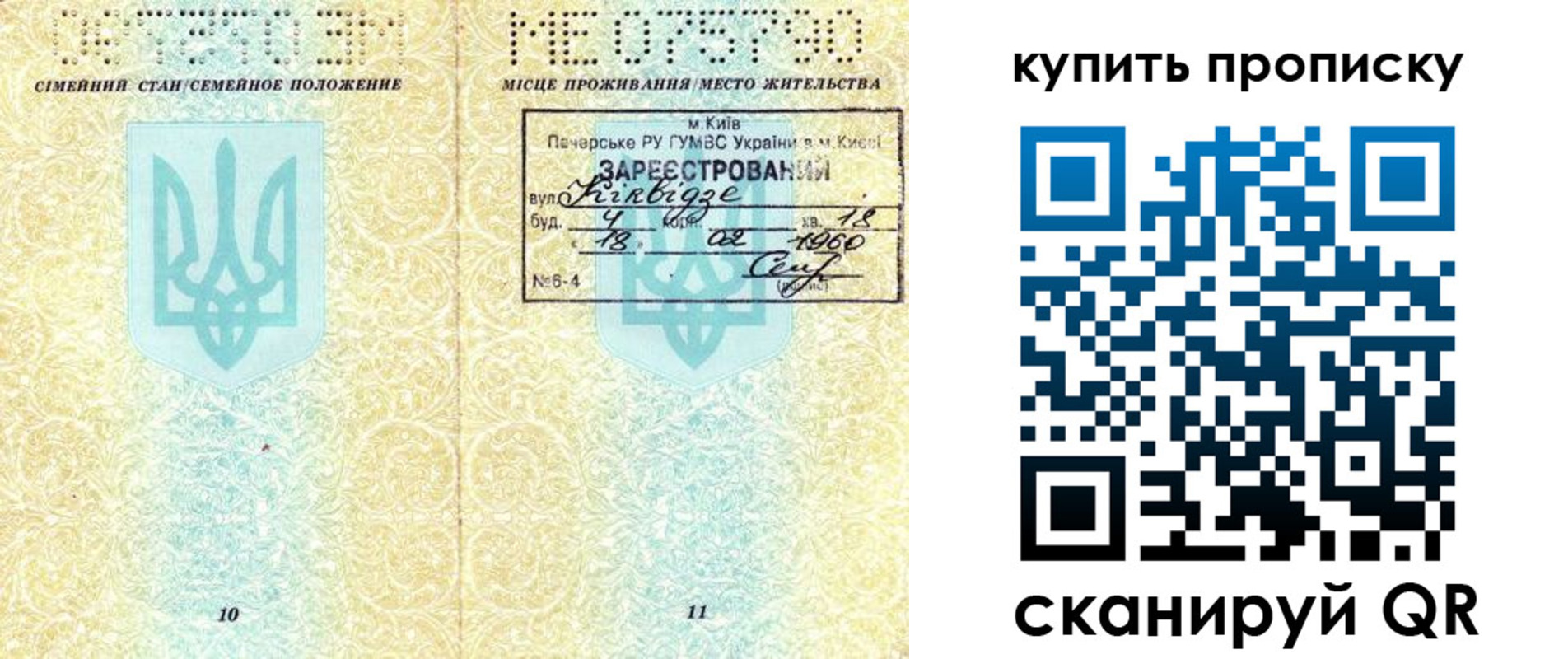 миграционный учет в Камчатской области