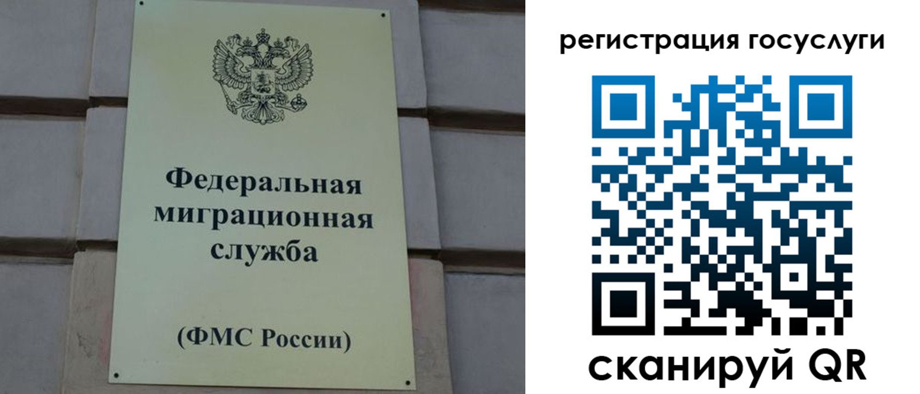 временная регистрация поиск в Камчатской области